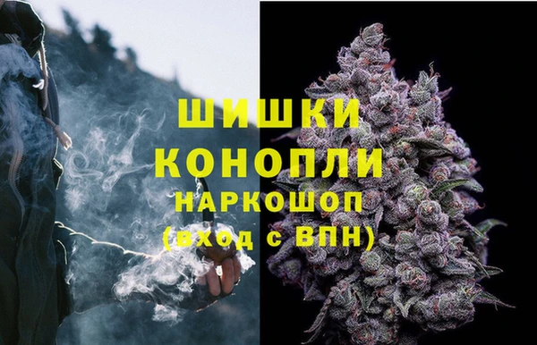 гашик Армянск