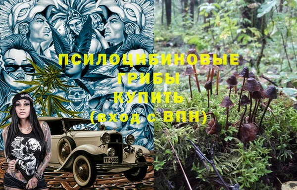 гашик Армянск
