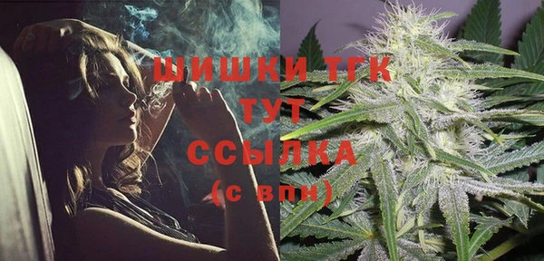 стафф Аркадак