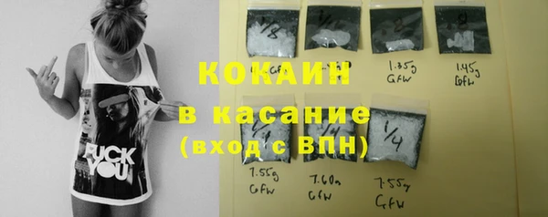 стафф Аркадак