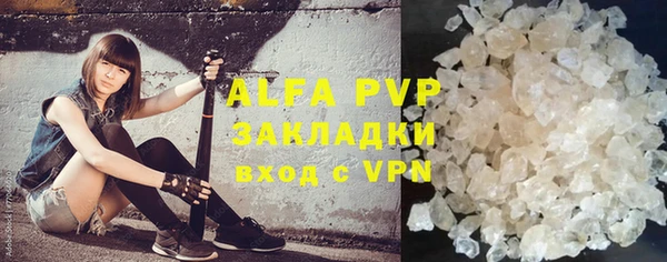 стафф Аркадак