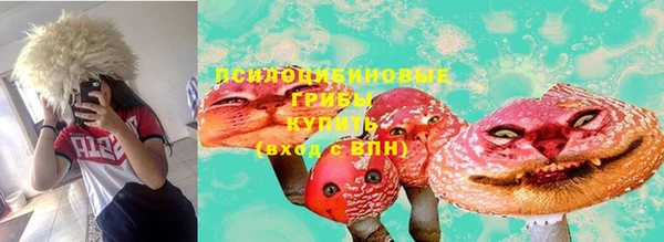 стафф Аркадак