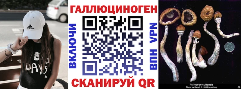 Галлюциногенные грибы ЛСД  магазин  наркотиков  Грязи 